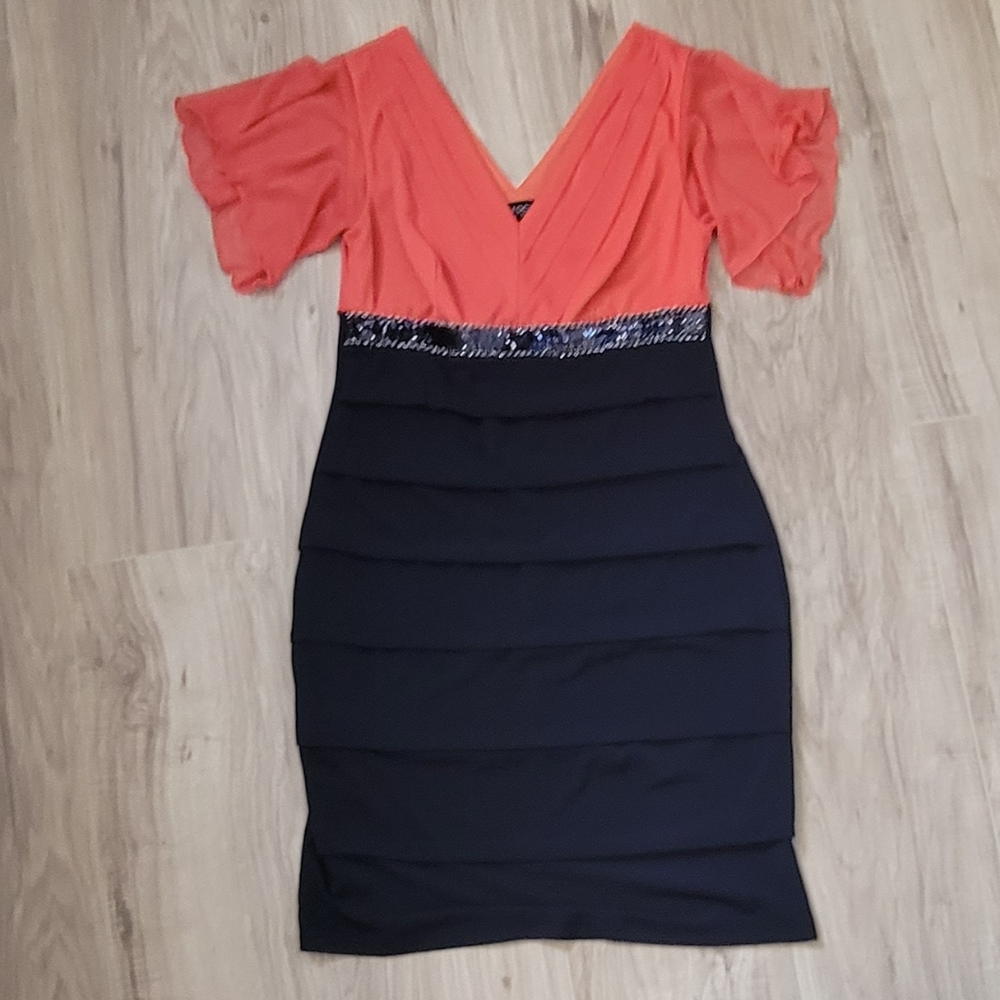 Enfocus Studio Fitted Sequins Dress